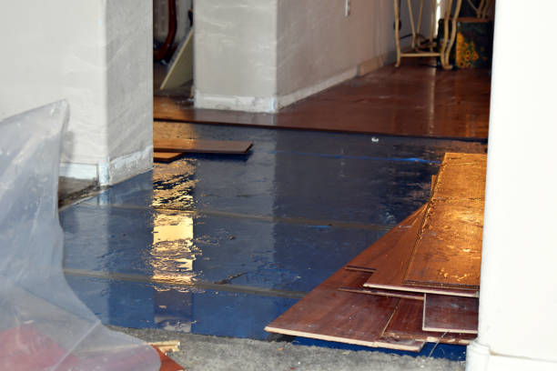 Professional Flood Damage Repair technician working in Blanchester, OH